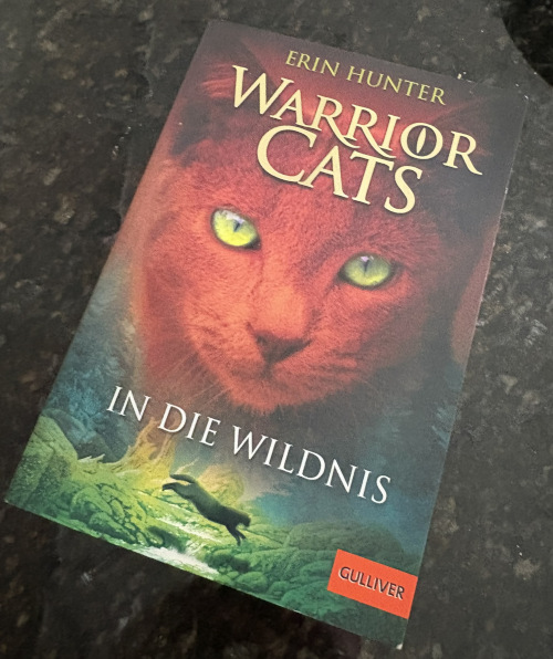 warrior cats book